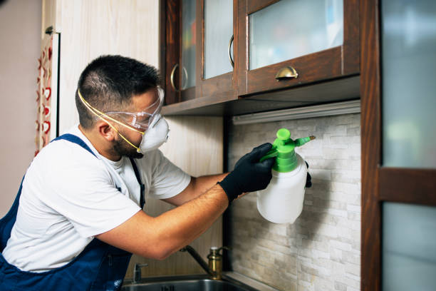 Best Pest Inspection Near Me  in Hartselle, AL