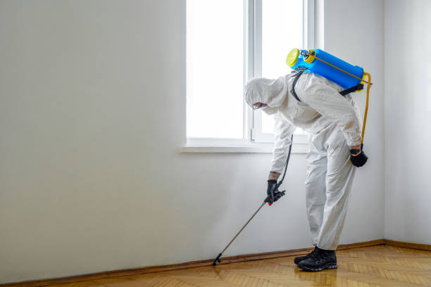 Best Mosquito Control Services  in Hartselle, AL