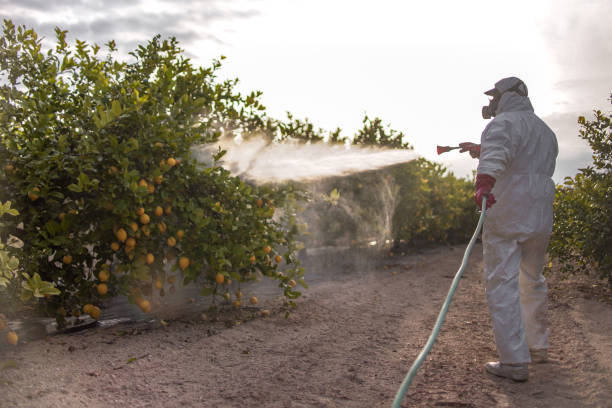 Best Commercial Pest Control Services  in Hartselle, AL