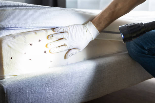 Best Pest Removal Services  in Hartselle, AL