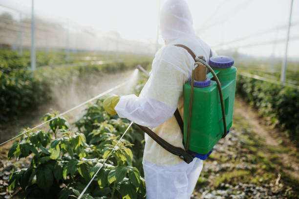 Best Emergency Pest Control  in Hartselle, AL